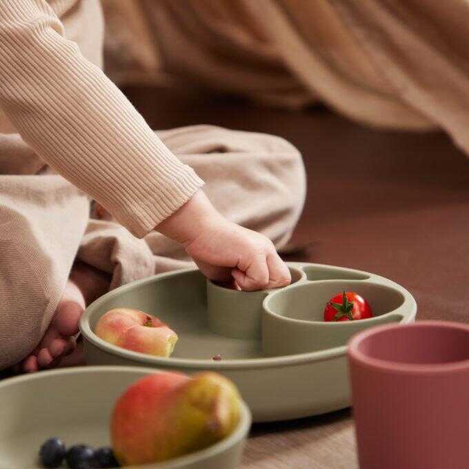 FILIBABBA - Πιάτο σιλικόνης διαμερισματοποιημένο