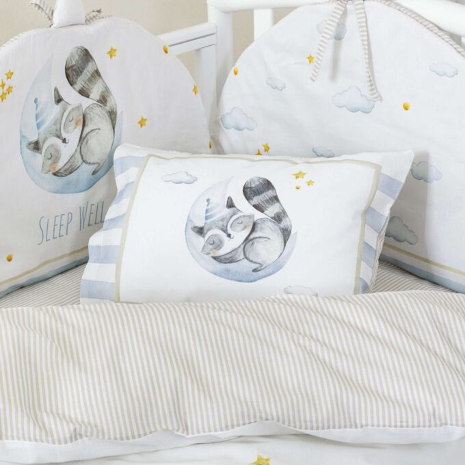 Πάντα - Sleepy Racoon