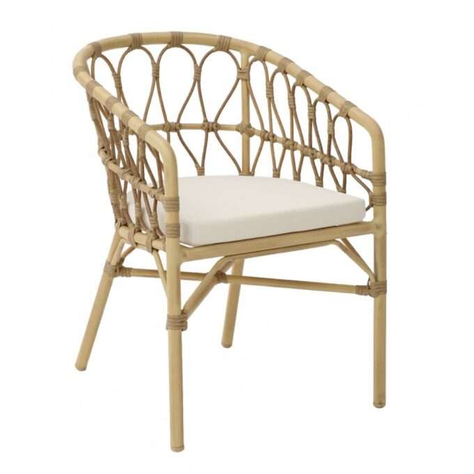 Neptune Πολυθρόνα Αλουμινίου1